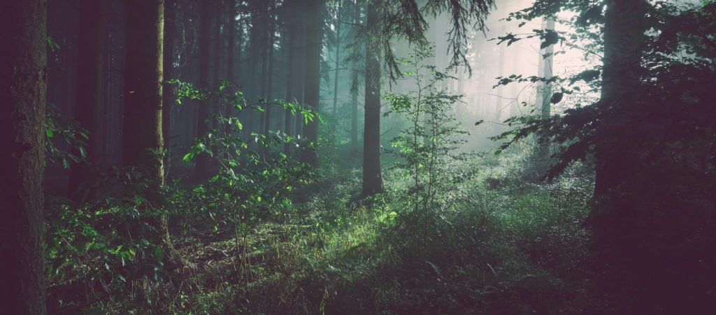 why choose cta 1024x451.jpg why choose cta 1024x451.jpg